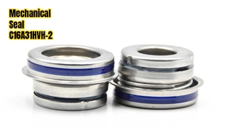 Mechanical Seal C16A31HVH-2