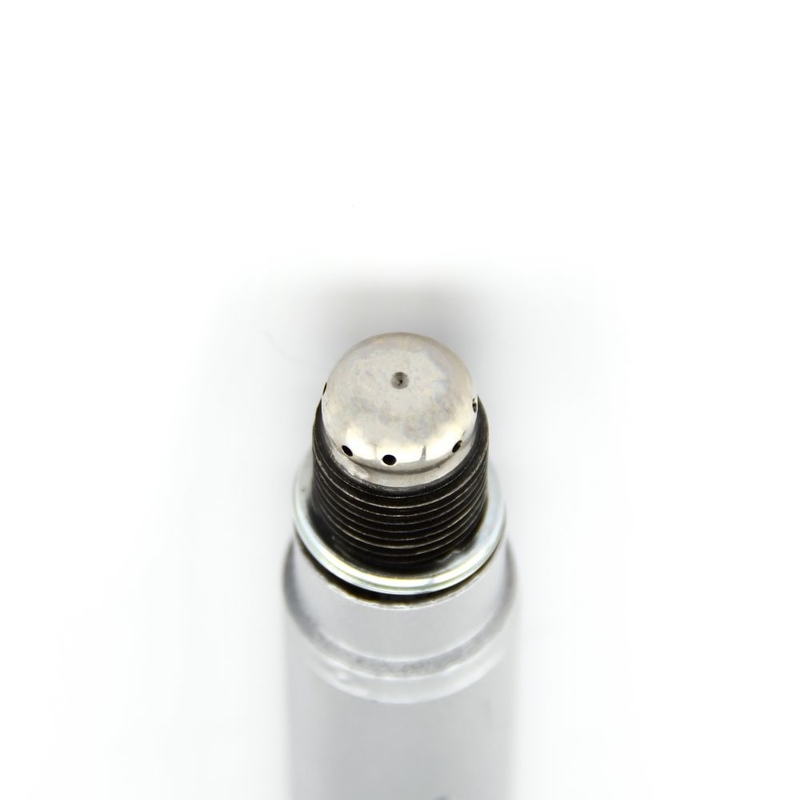 Natural Gas Spark Plug 12453572 For CHP Gas Engine TCG 2020 And