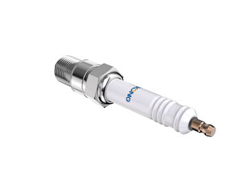 Replacement of Champion RB77WPCC Spark Plug Platinum (Champion, 14mm Diameter)