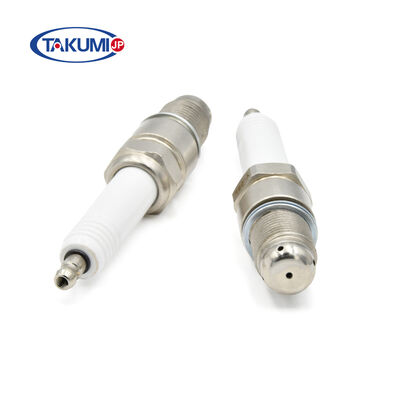 OEM China Supplier CHP Spark Plug for Biogas-Powered Generator