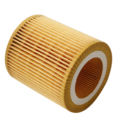 Oil Filter Element For BMW OEM 11427566327